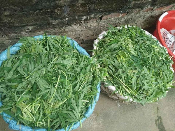 Bán món ăn nhà nghèo giữa Thủ đô, bất ngờ mang về thu nhập khủng - Hình 5 Ban mon an nha ngheo giua Thu do, bat ngo mang ve thu nhap khung-Hinh-5