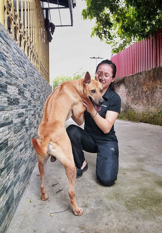 Đại gia khắp nơi "săn đón" chú chó đắt giá nhất Việt Nam - Hình 3 Dai gia khap noi