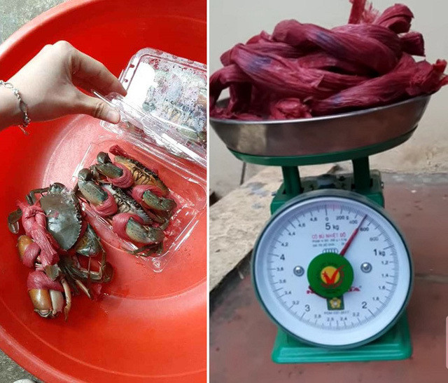 Bực mình, mua 1,8 kg cua biển, gỡ mất 5 lạng dây buộc Buc minh, mua 1,8 kg cua bien, go mat 5 lang day buoc