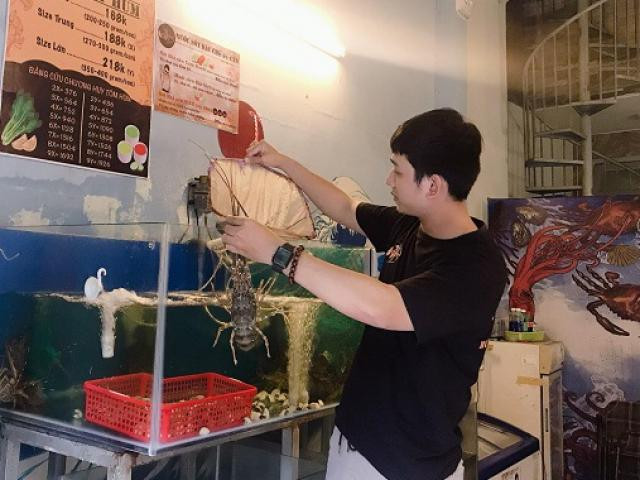 Tôm hùm, cá mú giảm giá sốc vẫn ế, người nuôi méo mặt - Hình 3 Tom hum, ca mu giam gia soc van e, nguoi nuoi meo mat-Hinh-3