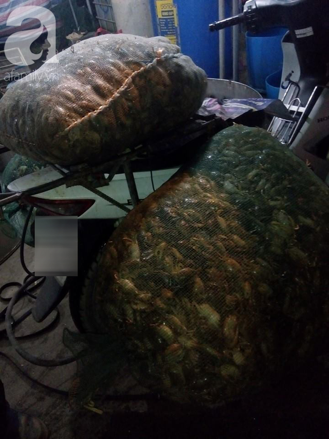 Bà nội trợ dắt túi 5 mẹo để chọn đúng cua đồng 'chuẩn xịn' Ba noi tro dat tui 5 meo de chon dung cua dong 'chuan xin'