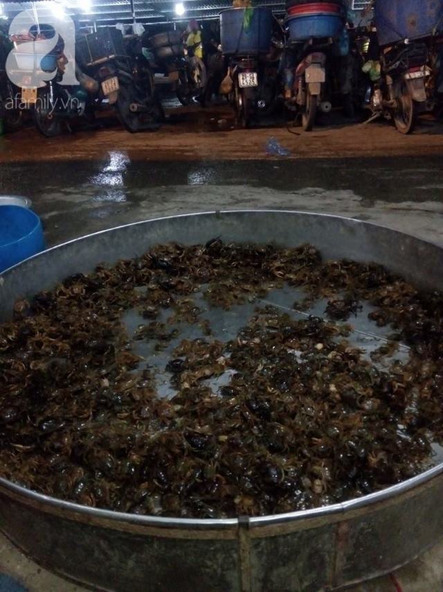 Bà nội trợ dắt túi 5 mẹo để chọn đúng cua đồng 'chuẩn xịn' - Hình 2 Ba noi tro dat tui 5 meo de chon dung cua dong 'chuan xin'-Hinh-2