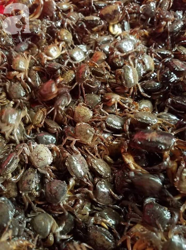 Bà nội trợ dắt túi 5 mẹo để chọn đúng cua đồng 'chuẩn xịn' - Hình 3 Ba noi tro dat tui 5 meo de chon dung cua dong 'chuan xin'-Hinh-3