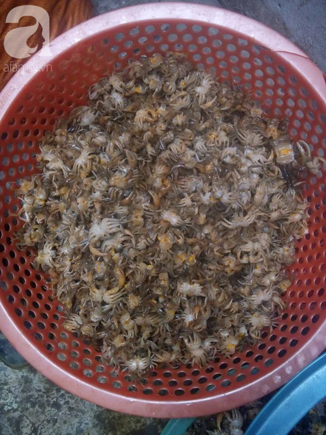 Bà nội trợ dắt túi 5 mẹo để chọn đúng cua đồng 'chuẩn xịn' - Hình 6 Ba noi tro dat tui 5 meo de chon dung cua dong 'chuan xin'-Hinh-6