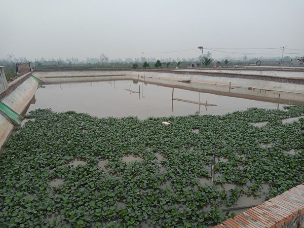 Vừa làm vừa chơi vẫn thu lợi nhuận khủng nhờ nuôi con vật này - Hình 3 Vua lam vua choi van thu loi nhuan khung nho nuoi con vat nay-Hinh-3