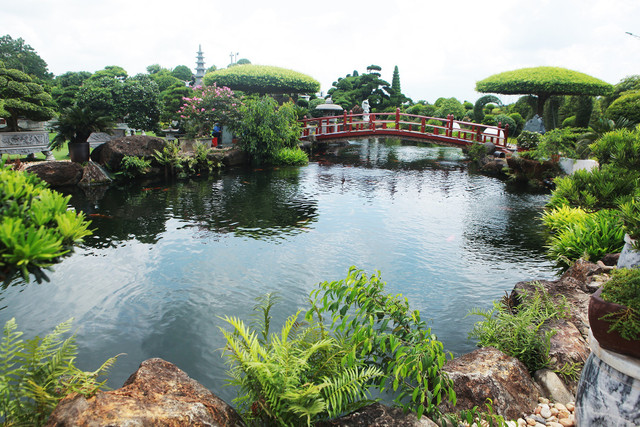 Dạy cá lóc 'bú bình', bón rau bằng sữa chua hết 'đát' - Hình 5 Day ca loc 'bu binh', bon rau bang sua chua het 'dat'-Hinh-5