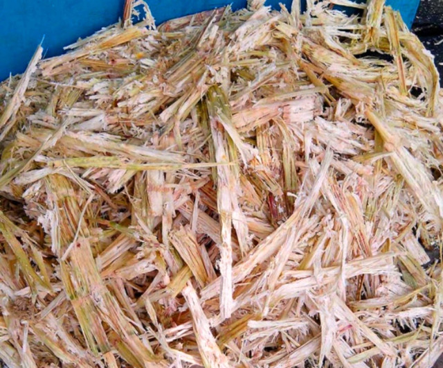 Phế thải bỏ đi ở nông thôn Việt Nam bỗng hóa mỏ vàng - Hình 2 Phe thai bo di o nong thon Viet Nam bong hoa mo vang-Hinh-2