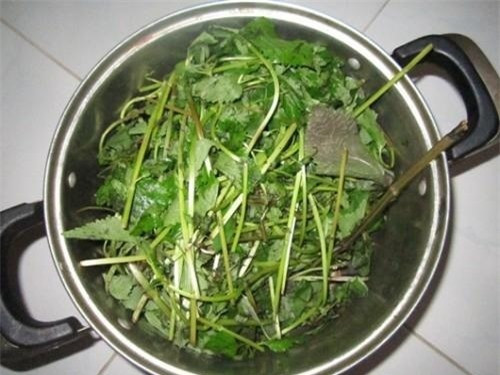 Cách làm trắng da nhanh nhất, lại cực rẻ - Hình 3 Cach lam trang da nhanh nhat, lai cuc re-Hinh-3