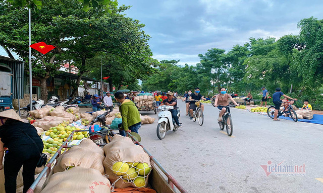Đặc sản rớt giá, rẻ nhất 20 năm qua, dân soi đèn đi chợ thâu đêm Dac san rot gia, re nhat 20 nam qua, dan soi den di cho thau dem