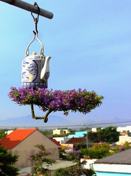 Ngắm dàn bonsai mọc ngược cực độc lạ của lão gàn xứ Quảng - Hình 8 Ngam dan bonsai moc nguoc cuc doc la cua lao gan xu Quang-Hinh-8
