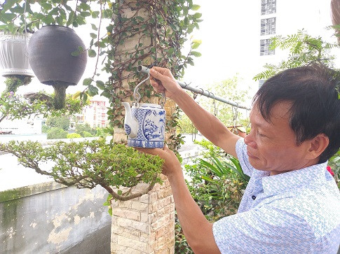 Ngắm dàn bonsai mọc ngược cực độc lạ của lão gàn xứ Quảng - Hình 14 Ngam dan bonsai moc nguoc cuc doc la cua lao gan xu Quang-Hinh-14