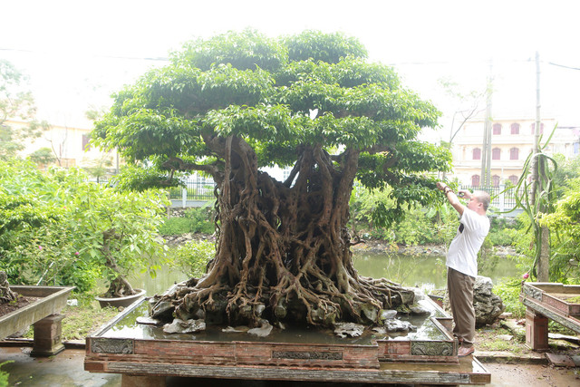 Loài côn trùng chỉ sống vài tiếng, đặc sản trứ danh trên sông Hồng - Hình 4 Loai con trung chi song vai tieng, dac san tru danh tren song Hong-Hinh-4