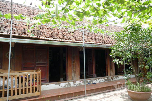 Loài côn trùng chỉ sống vài tiếng, đặc sản trứ danh trên sông Hồng - Hình 7 Loai con trung chi song vai tieng, dac san tru danh tren song Hong-Hinh-7