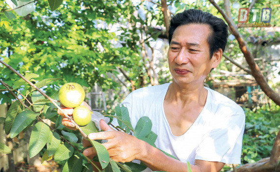 Loài côn trùng chỉ sống vài tiếng, đặc sản trứ danh trên sông Hồng - Hình 2 Loai con trung chi song vai tieng, dac san tru danh tren song Hong-Hinh-2