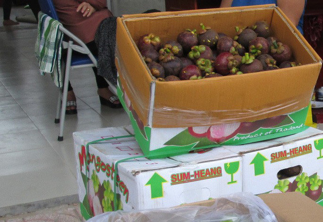 Măng cụt Thái Lan ngập tràn các chợ đầu mối Mang cut Thai Lan ngap tran cac cho dau moi
