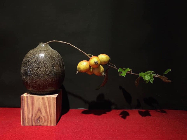 Táo mèo vào vụ, chị em rước cành trĩu quả về cắm chơi - Hình 3 Tao meo vao vu, chi em ruoc canh triu qua ve cam choi-Hinh-3