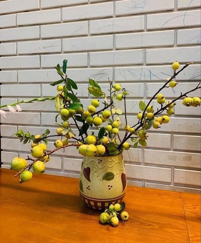 Táo mèo vào vụ, chị em rước cành trĩu quả về cắm chơi Tao meo vao vu, chi em ruoc canh triu qua ve cam choi