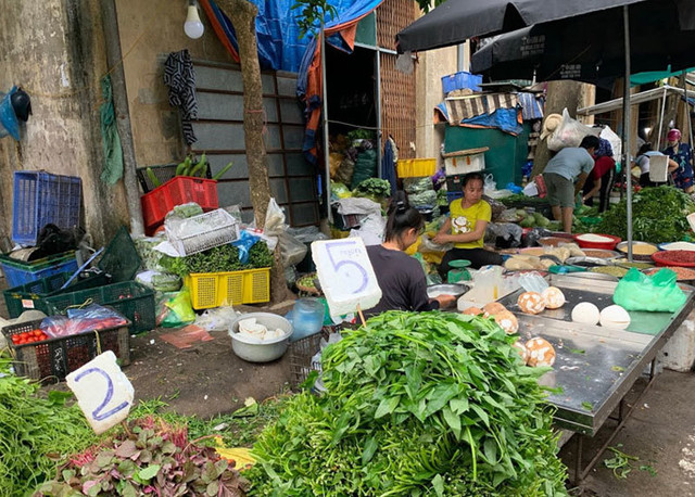 Mua 10.000 đồng đủ rau xanh ăn cả ngày cho gia đình - Hình 3 Mua 10.000 dong du rau xanh an ca ngay cho gia dinh-Hinh-3
