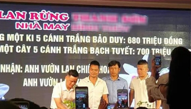 Chậu hoa lan có giá 700 triệu đồng vì lí do bất ngờ Chau hoa lan co gia 700 trieu dong vi li do bat ngo