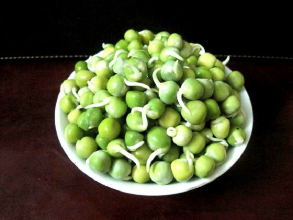6 thực phẩm mọc mầm không hề độc mà là "thần dược" - Hình 3 6 thuc pham moc mam khong he doc ma la