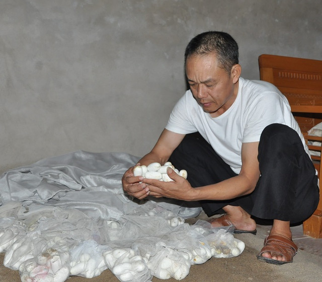 Ngôi làng tỷ phú nuôi mãng xà nổi tiếng, giờ ngập trong đống nợ - Hình 2 Ngoi lang ty phu nuoi mang xa noi tieng, gio ngap trong dong no-Hinh-2