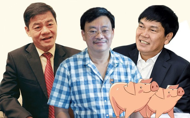 Quay về làm nông, tỷ phú USD Việt Nam mở trại nuôi lợn Quay ve lam nong, ty phu USD Viet Nam mo trai nuoi lon