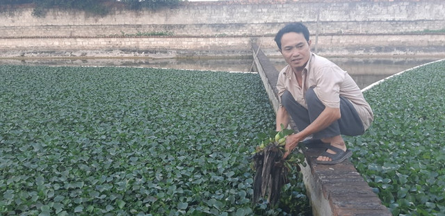 Nuôi loài cổ thò ra rụt vào, lưng bóng nhẫy, một vốn bốn lời - Hình 5 Nuoi loai co tho ra rut vao, lung bong nhay, mot von bon loi-Hinh-5
