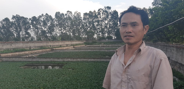 Nuôi loài cổ thò ra rụt vào, lưng bóng nhẫy, một vốn bốn lời - Hình 6 Nuoi loai co tho ra rut vao, lung bong nhay, mot von bon loi-Hinh-6