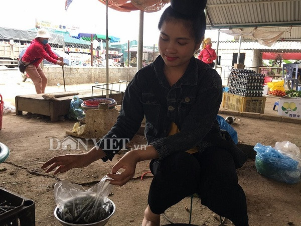 Đặc sản ve sầu, món nhậu đầu hè mấy ai dám thử - Hình 2 Dac san ve sau, mon nhau dau he may ai dam thu-Hinh-2