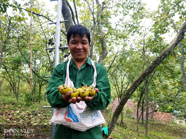 Vùng đất có loại quả tên nghe như chim vị ngon 'tuyệt phẩm' - Hình 5 Vung dat co loai qua ten nghe nhu chim vi ngon 'tuyet pham'-Hinh-5