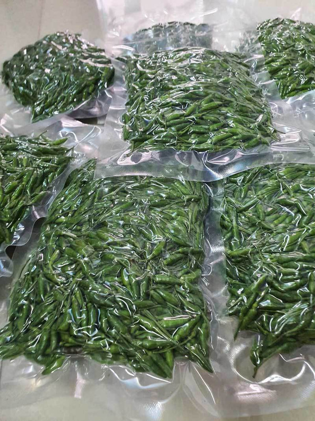 Loại ớt gió thơm mùi thảo mộc, 1 triệu đồng/kg vẫn đắt khách - Hình 2 Loai ot gio thom mui thao moc, 1 trieu dong/kg van dat khach-Hinh-2