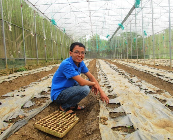 Trai xứ Thanh làm giàu từ trồng dưa vàng công nghệ cao - Hình 7 Trai xu Thanh lam giau tu trong dua vang cong nghe cao-Hinh-7