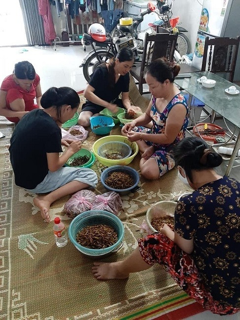 Châu chấu giá 250.000 đồng/kg được săn lùng ráo riết - Hình 4 Chau chau gia 250.000 dong/kg duoc san lung rao riet-Hinh-4