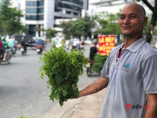 Đặc sản rau rừng đổ bộ về Thủ đô, giá chát vẫn cháy hàng - Hình 2 Dac san rau rung do bo ve Thu do, gia chat van chay hang-Hinh-2