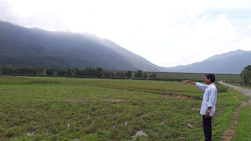 Chuyện lạ Hà Tĩnh: Có ruộng mà không dám xuống... cày cấy Chuyen la Ha Tinh: Co ruong ma khong dam xuong... cay cay