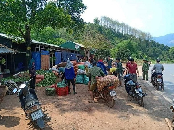 Xoài Sơn La rụng trắng vườn chỉ 1.000 đồng/kg, cho không ai lấy - Hình 4 Xoai Son La rung trang vuon chi 1.000 dong/kg, cho khong ai lay-Hinh-4