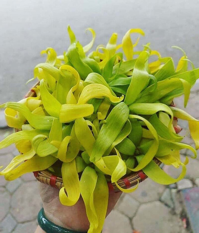 Bơ rớt giá thê thảm, chanh dây rụng đầy gốc - Hình 6 Bo rot gia the tham, chanh day rung day goc-Hinh-6