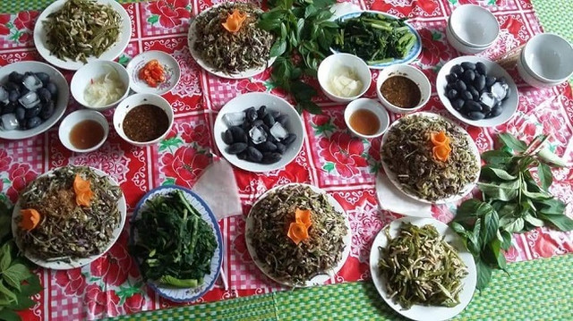Ngỡ ngàng loại quả rụng đầy vườn thành đặc sản đắt hơn thịt - Hình 5 Ngo ngang loai qua rung day vuon thanh dac san dat hon thit-Hinh-5