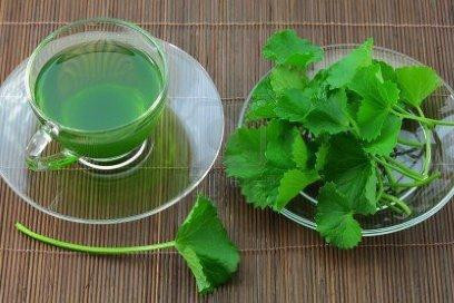 Rau má: Cực tốt và cực độc, biết mà tránh khi ăn kẻo mang họa vào thân - Hình 3 Rau ma: Cuc tot va cuc doc, biet ma tranh khi an keo mang hoa vao than-Hinh-3