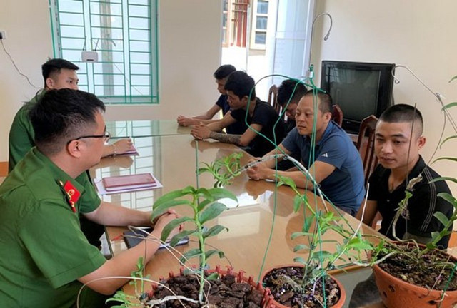 Biến tướng đa cấp, rửa tiền từ mua bán lan Bien tuong da cap, rua tien tu mua ban lan