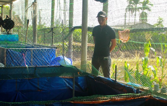 Thanh niên khởi nghiệp từ cá Koi, thu nửa tỷ mỗi năm - Hình 3 Thanh nien khoi nghiep tu ca Koi, thu nua ty moi nam-Hinh-3