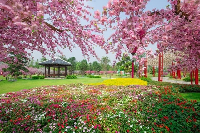 Sống ảo cực chất ở công viên Nhật Bản đầu tiên tại Hà Nội - Hình 3 Song ao cuc chat o cong vien Nhat Ban dau tien tai Ha Noi-Hinh-3