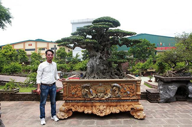 Anh bán hàng rong chi 16 tỷ mua cây sanh Tiên lão giáng trần - Hình 4 Anh ban hang rong chi 16 ty mua cay sanh Tien lao giang tran-Hinh-4