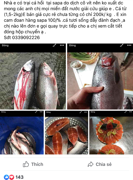 Cá hồi Sa Pa giảm giá sốc vẫn ế: Gian nan trong việc 'giải cứu' tại Hà Nội - Hình 3 Ca hoi Sa Pa giam gia soc van e: Gian nan trong viec 'giai cuu' tai Ha Noi-Hinh-3