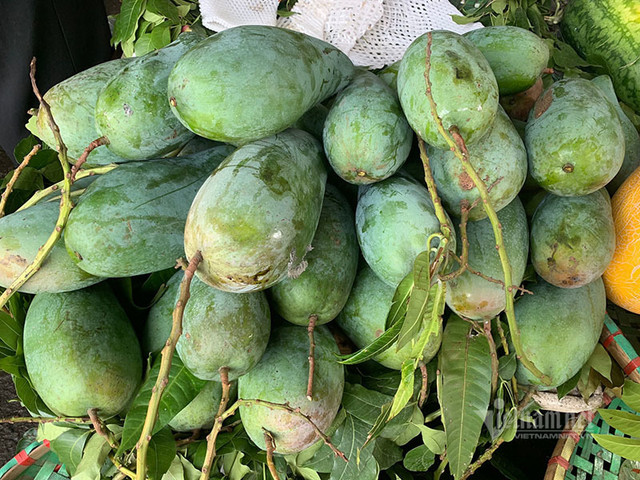 Xoài khổng lồ xuất hiện tràn khắp chợ Hà Nội - Hình 5 Xoai khong lo xuat hien tran khap cho Ha Noi-Hinh-5