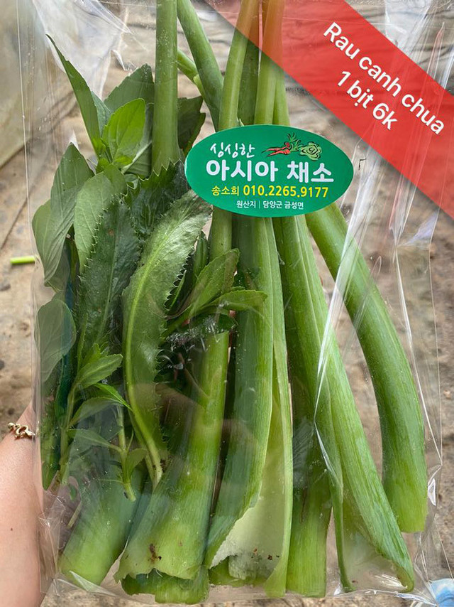 Cô gái "cay đắng" khi phải mua mớ rau muống 80.000đồng - Hình 4 Co gai