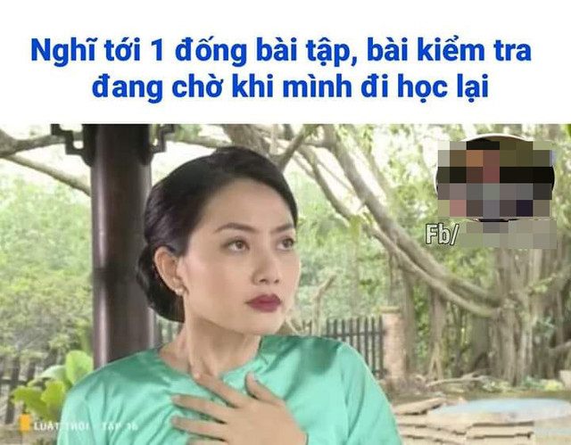 Ngọc Lan phản ứng lạ trước loạt ảnh chế được rải khắp mọi miền quê - Hình 2 Ngoc Lan phan ung la truoc loat anh che duoc rai khap moi mien que-Hinh-2