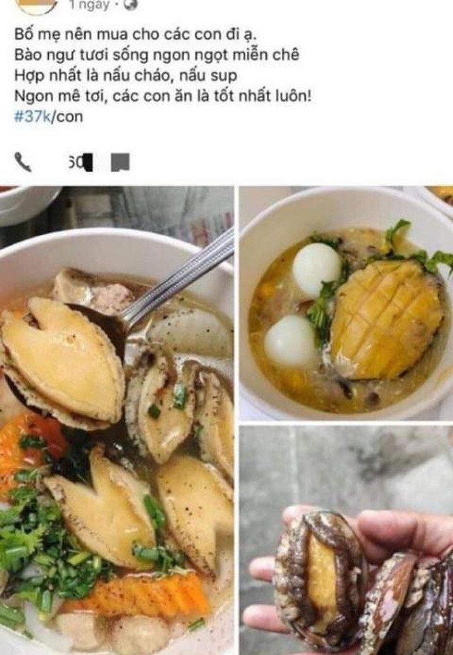 Bào ngư đại gia giá bình dân: Nhập từ Trung Quốc Bao ngu dai gia gia binh dan: Nhap tu Trung Quoc