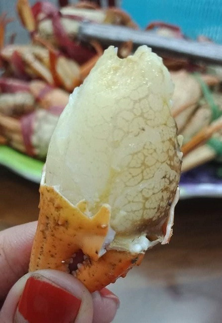 Đặc sản núi 'ngon hơn cua biển, rẻ hơn cua đồng', dân buôn hốt bạc - Hình 6 Dac san nui 'ngon hon cua bien, re hon cua dong', dan buon hot bac-Hinh-6