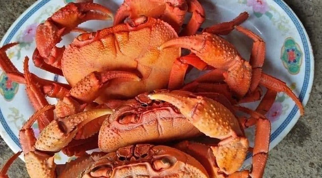 Đặc sản núi 'ngon hơn cua biển, rẻ hơn cua đồng', dân buôn hốt bạc - Hình 5 Dac san nui 'ngon hon cua bien, re hon cua dong', dan buon hot bac-Hinh-5